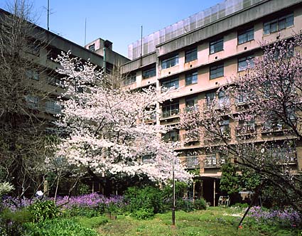 同潤会江戸川アパート（2003年建替着工）: 建計
